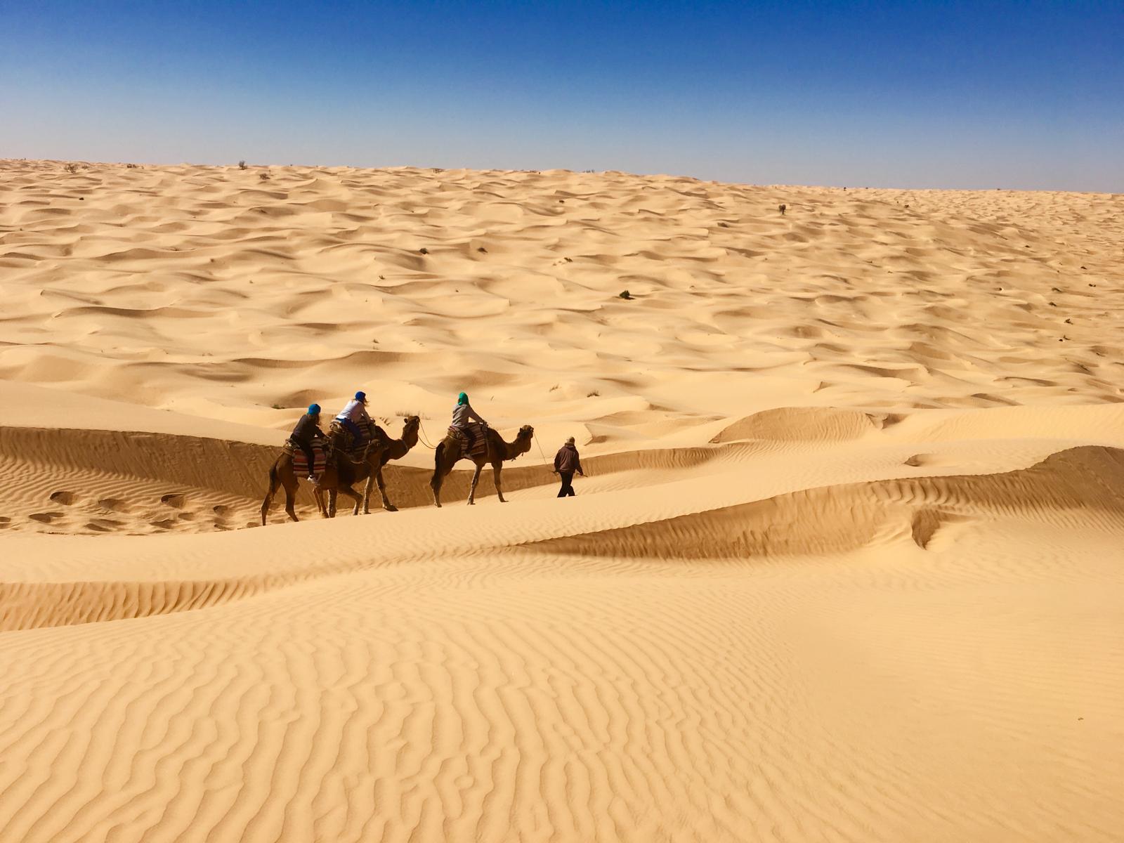 Camel Ride – 1 Hour with a Guide